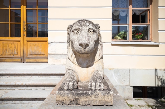 Sculpture de lion en pierre grise près du palais de Pavlovsk Saint-Pétersbourg Russie mai 2022