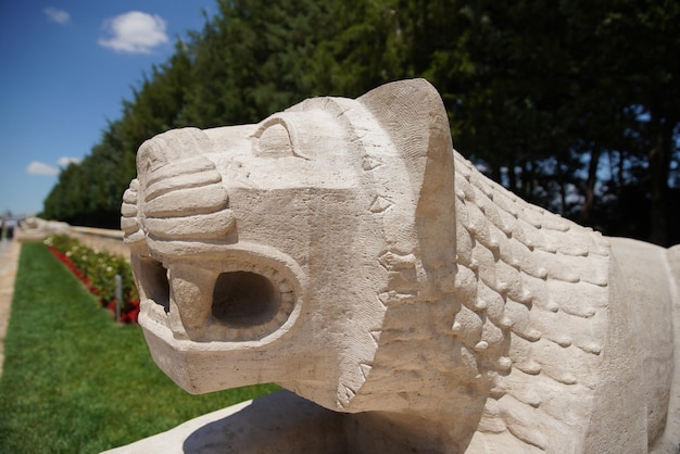 Sculpture de lion située sur la Route des Lions à Anitkabir Ankara Turkiye