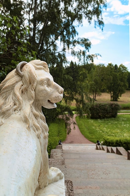 Sculpture en marbre du lion sur le palier du grand escalier italien du parc de Pavlovsk