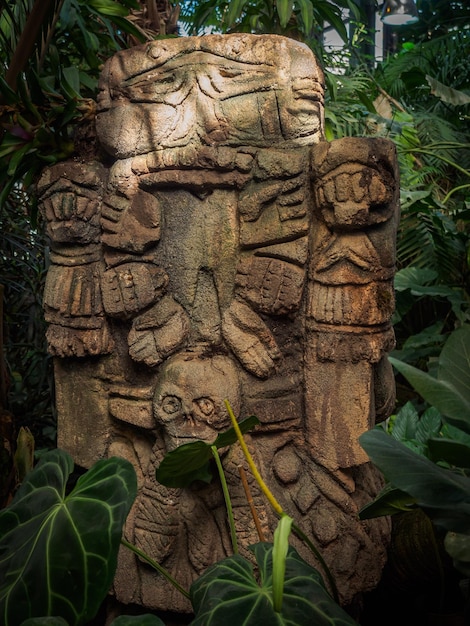 Sculpture olmèque sculptée dans la pierre symbole maya grande statue de tête en pierre dans une jungle