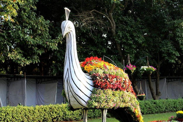 Une sculpture d'un paon fait de fleurs