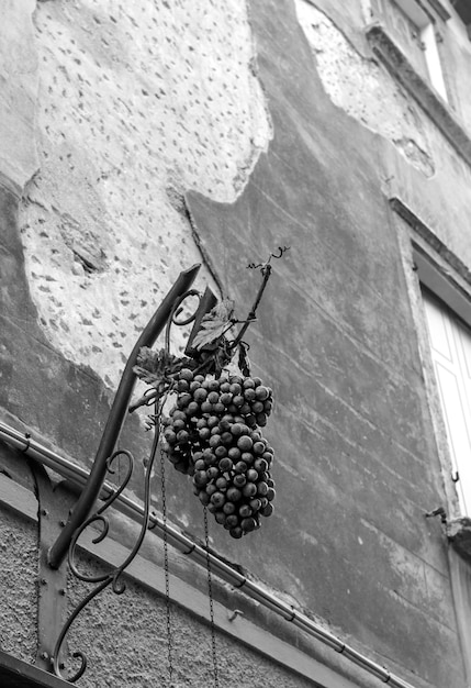 Une sculpture représentant une grappe de raisin sur le mur d'un immeuble au centre de Bardolino