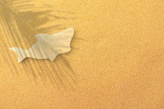 Sculpture de requin sur une plage de vacances faite de sable de plage