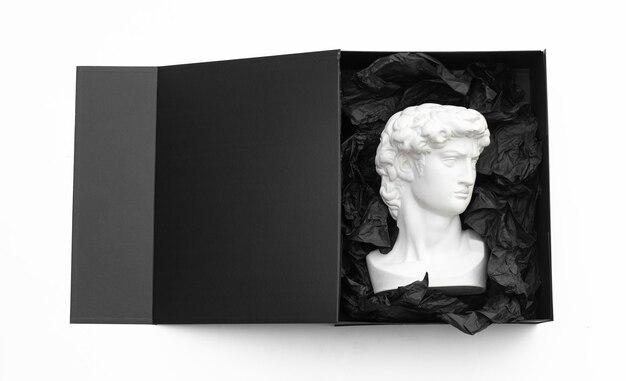 sculpture tête de David en boîte noire