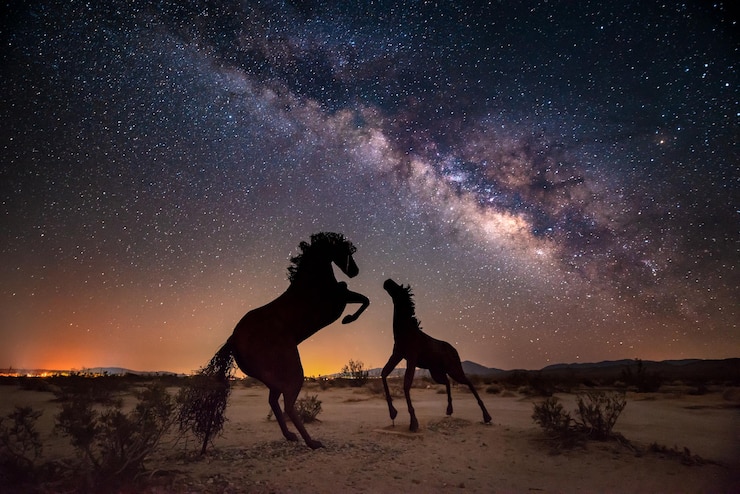 Photo sculptures d'art en pleine longueur contre le ciel la nuit