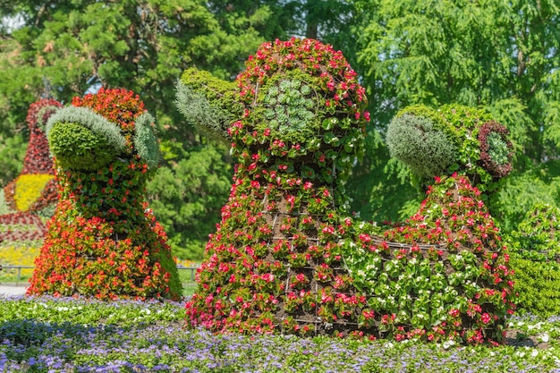 Sculptures de fleurs sur l'île aux fleurs du lac de Constance