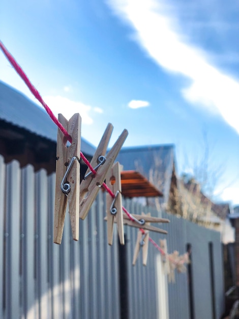 Photo se concentrer sur la vie à la campagne