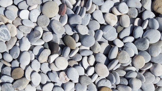 Sea stones Cobble Texture avec beaucoup de couleurs étalées