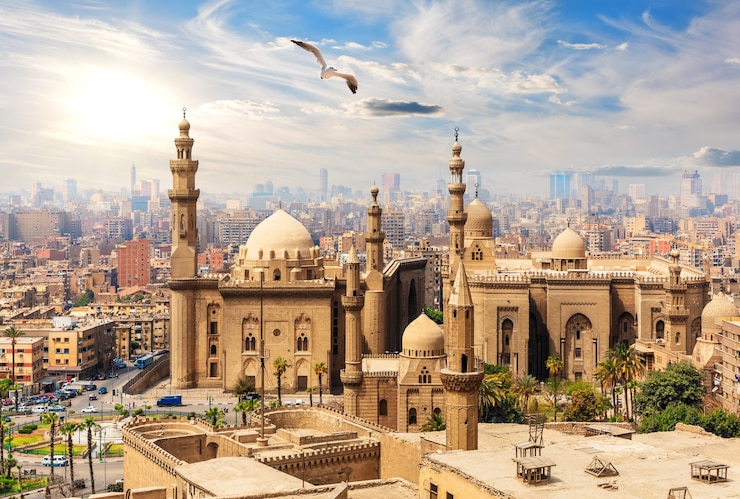 Photo seagull vole par la mosquée-madrassa du sultan hassan de la citadelle, le caire, egypte.