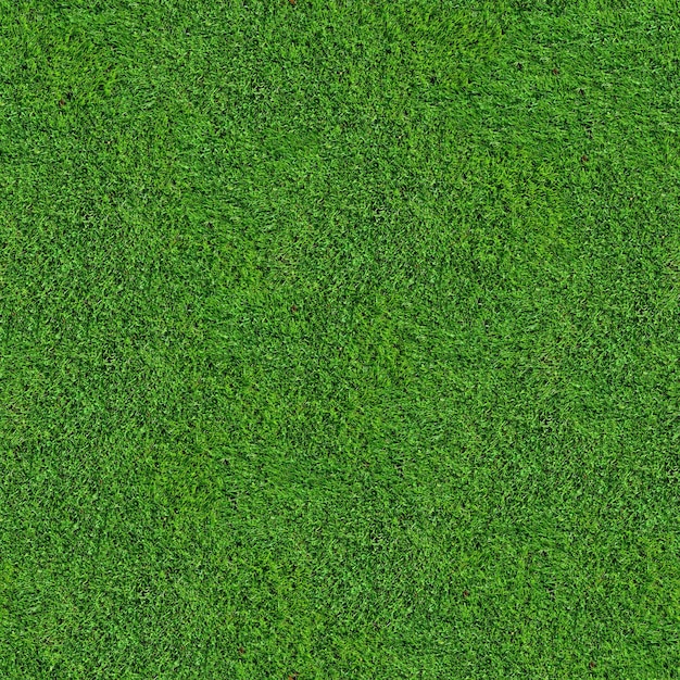 Seamless Grass Texture Lawn meadow Golf football baseball tennis Terrain terrain stade cour
