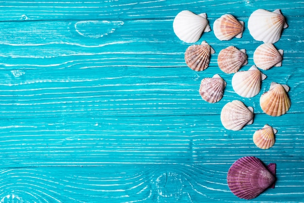 Seashells sur fond bleu en bois