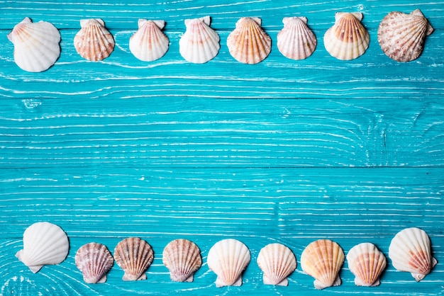 Seashells sur fond bleu en bois