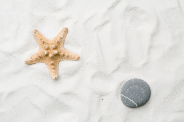 Seastar Sur Fond De Sable