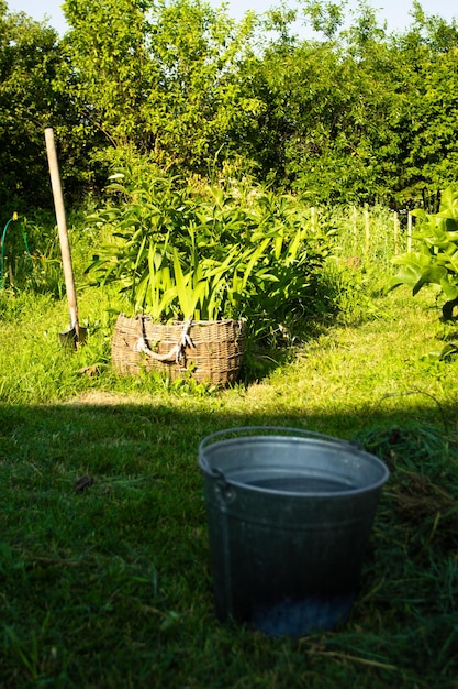 Un seau d'eau est dans le jardin.