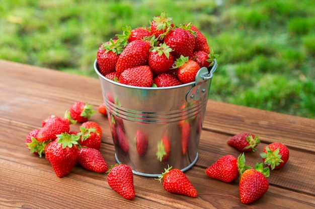 Seau de fraises fraîchement cueillies dans le jardin d'été