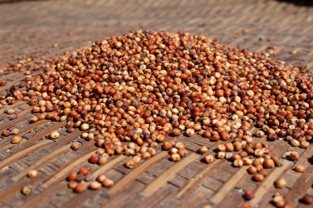 Séchage des millets sur procédé de séchage sur table en bambou