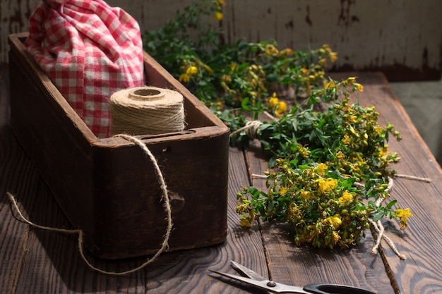 Séchage des plantes médicinales tutsan. Style rétro