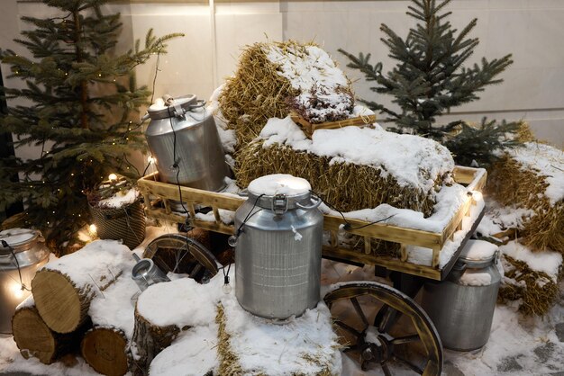 Séchez l'herbe de l'année dernière sous la fonte des neiges.