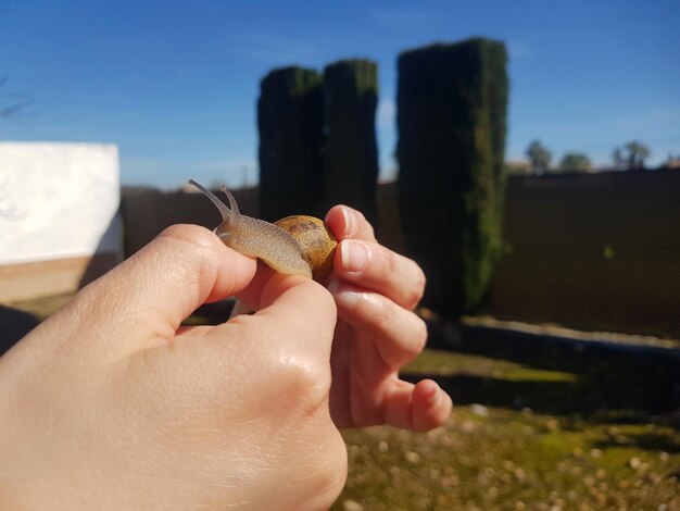 Photo les secrets de la spirale, main dans la main avec les escargots