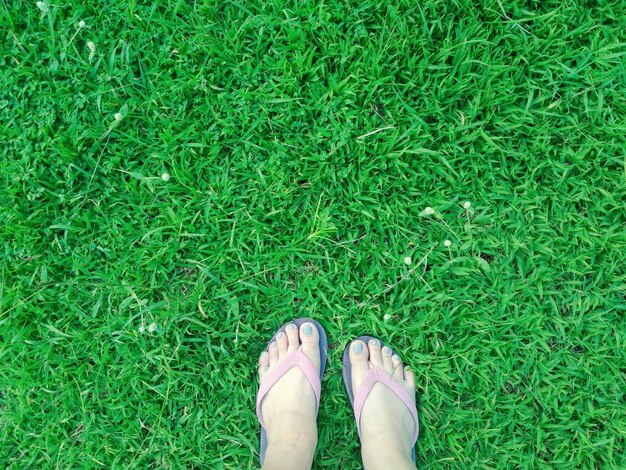 Section basse d'une femme debout sur l'herbe