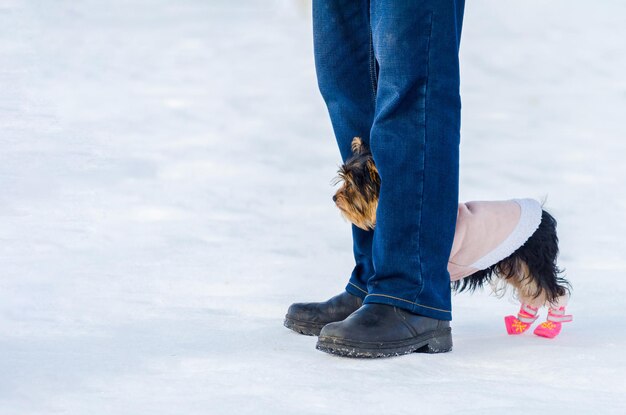 Photo section basse d'une femme debout sur une terre couverte de neige