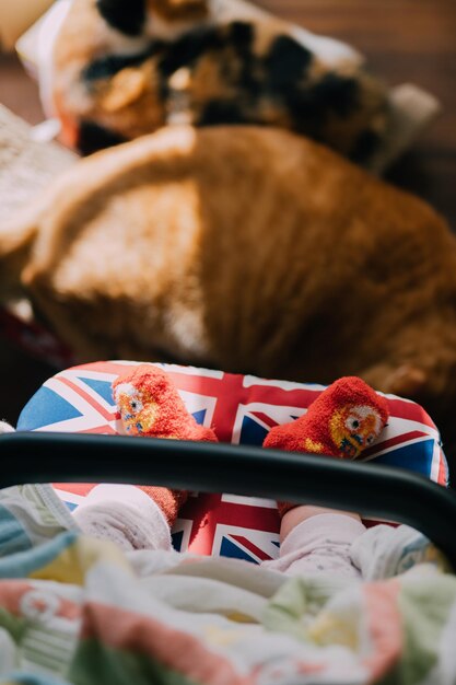 Photo section inférieure du bébé portant des chaussettes assis dans le chariot