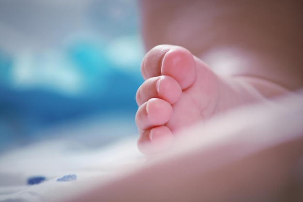 Section inférieure du pied du bébé