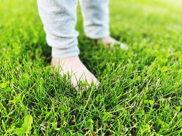 Section inférieure de l'enfant debout pieds nus sur le terrain