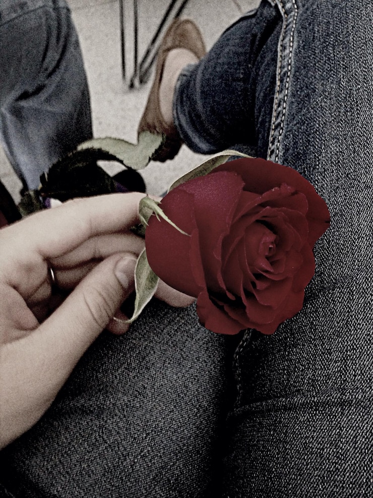 Photo section inférieure d'une femme tenant une rose
