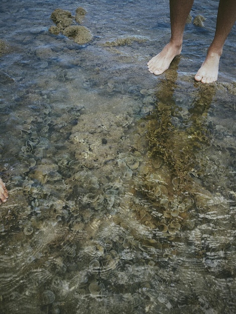 Photo section inférieure de l'homme dans l'eau