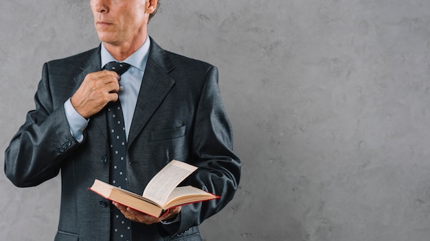 Photo section médiane du livre de l'avocat adulte au bureau