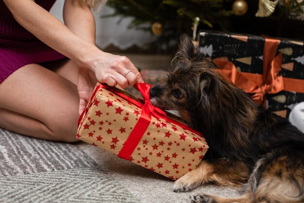 Photo section médiane d'une femme avec un chien