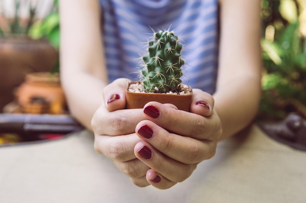 Photo section médiane d'une femme tenant un cactus en pot sur la table