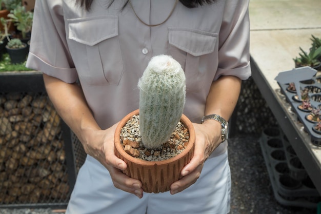 Photo section médiane d'une femme tenant un cactus