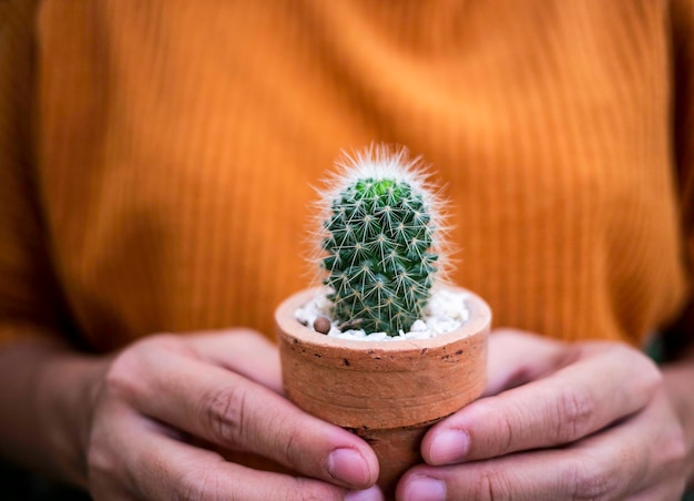 Photo section médiane d'une femme tenant un cactus