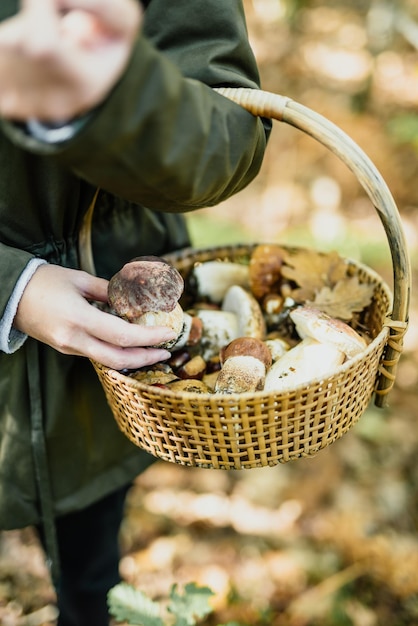 Photo section médiane d'une femme tenant des champignons dans un panier