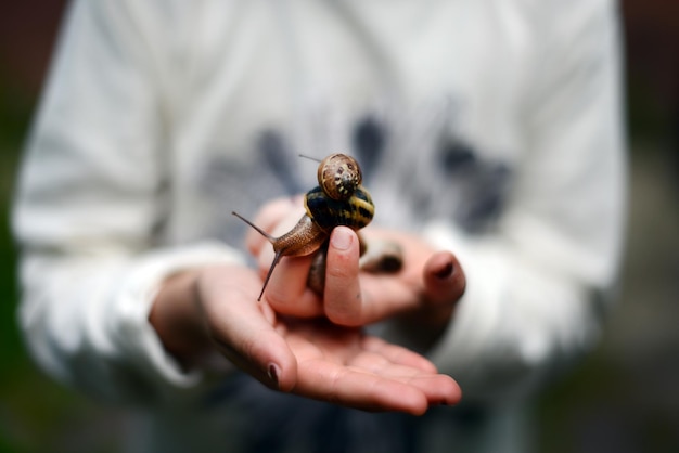 Section médiane d'une femme tenant un escargot