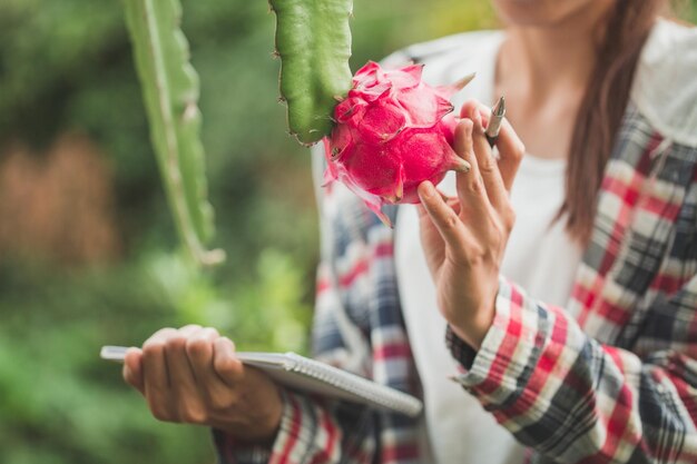 Photo section médiane d'une femme tenant une plante à fleurs rouges