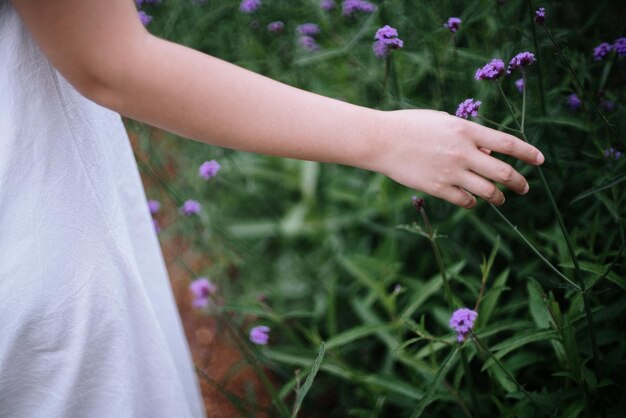 Photo section médiane d'une femme tenant une plante à fleurs violettes