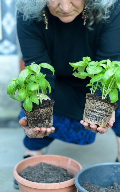 Photo section médiane d'une femme tenant une plante en pot