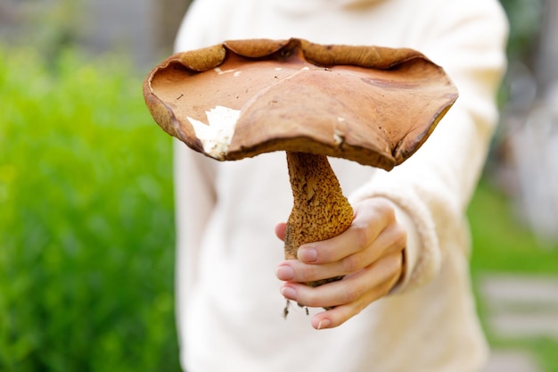 Photo section médiane d'un homme tenant un champignon