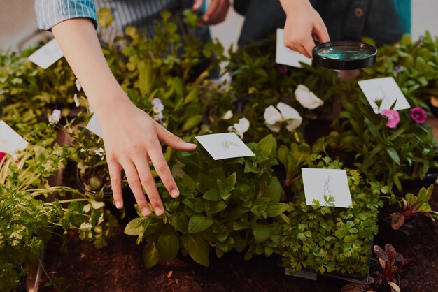 Photo section médiane d'un homme tenant une plante en pot