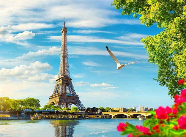 Seine à Paris avec Tour Eiffel