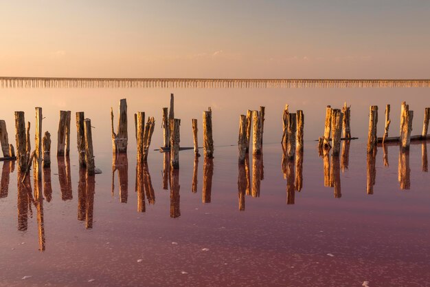 Sel sur un lac salé rose au coucher du soleil Pink Salt Lake Hutt Lagoon