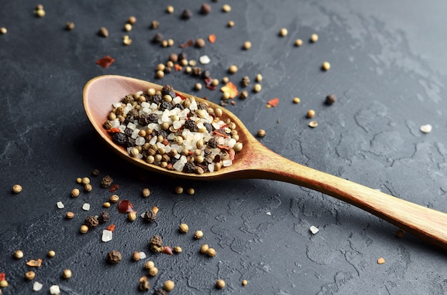 Sel de mer, mélange de poivre, cardamome, graines de moutarde et flocons de paprika rouge dans une cuillère en bois