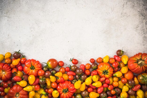 Sélection colorée de tomates sur ardoise en béton