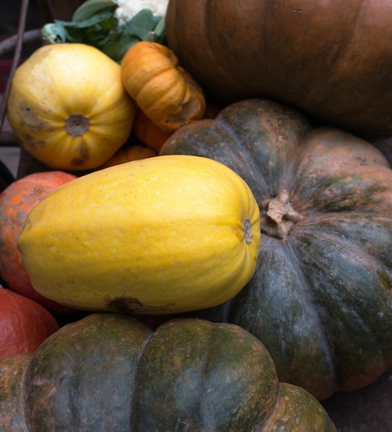 Sélection de courges et citrouilles de différentes variétés