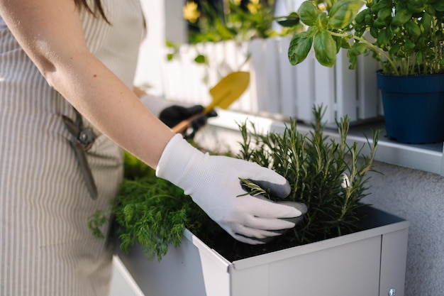 Sélection du milieu sur une femme en gants de travail se préparant à atterrir sur un balcon