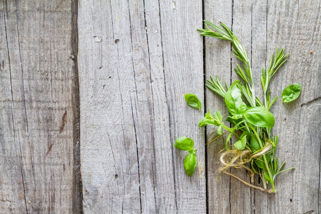 Sélection d&#39;herbes et d&#39;épices