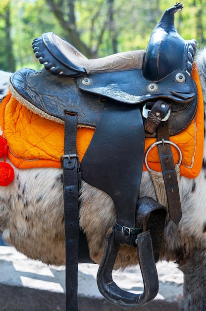 Selle sur le dos d'un cheval